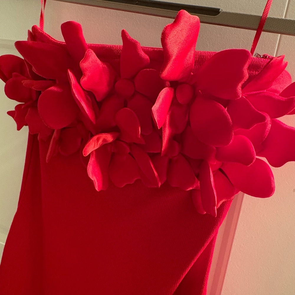 Zara Vibrant Red Floral Dress - Picture 3 of 6